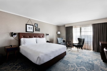 Room, 1 King Bed (Hearing Accessible)