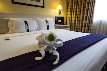 Suite, 1 King Bed
