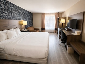 Room, 1 King Bed, Non Smoking