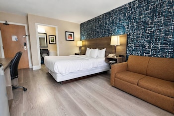 Room, 1 King Bed, Non Smoking