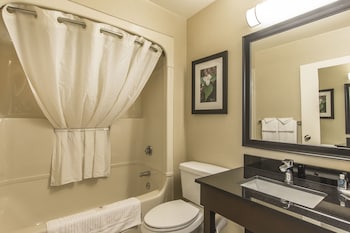 Room, 1 King Bed, Accessible, Non Smoking