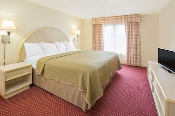 Suite, 1 King Bed, Non Smoking (Efficiency)