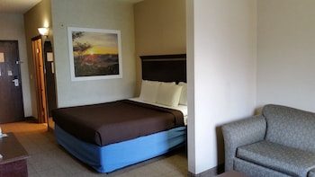 Suite, 1 King Bed with Sofa bed