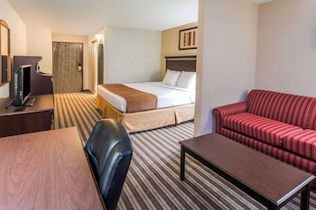 Suite, 1 King Bed with Sofa bed