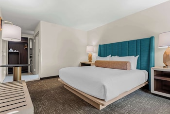 Standard Room, 1 King Bed, Accessible, Refrigerator & Microwave
