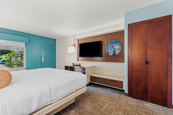 Standard Room, 1 King Bed, Non Smoking, Refrigerator & Microwave