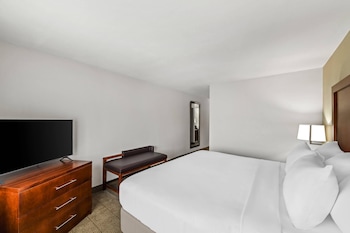 Suite, 1 King Bed with Sofa bed, Non Smoking