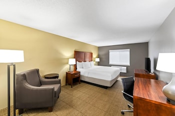 Standard Room, 1 King Bed, Non Smoking