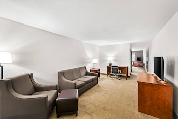 Suite, 1 King Bed with Sofa bed, Non Smoking