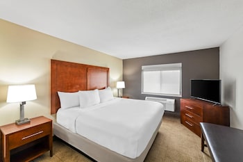 Suite, 1 King Bed with Sofa bed, Non Smoking