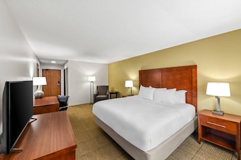 Standard Room, 1 King Bed, Non Smoking