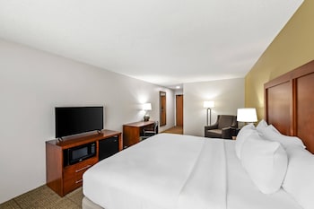 Standard Room, 1 King Bed, Non Smoking