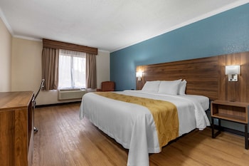 Standard Room, 1 King Bed, Non Smoking