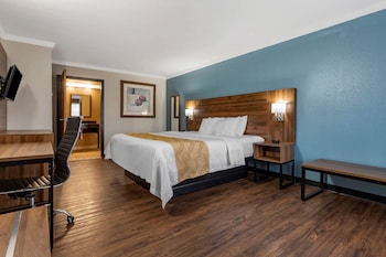 Room, 1 King Bed, Accessible, Non Smoking