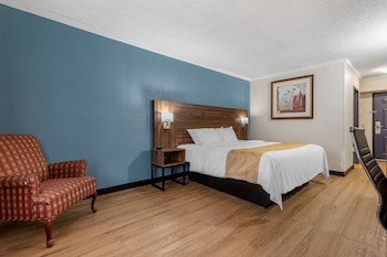 Standard Room, 1 King Bed, Non Smoking