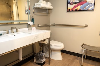 Room, 1 King Bed, Accessible, Bathtub (Mobility & Hearing)