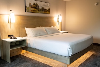 Room, 1 King Bed