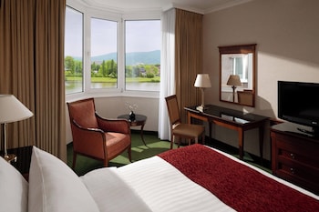 Room, 1 King Bed (View)