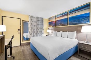 Room, 1 King Bed, Non Smoking