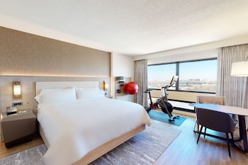 Room, 1 King Bed