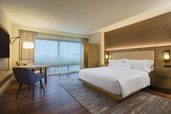Room, 1 King Bed (Mobility Accessible, Roll-in Shower)