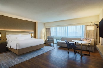 Room, 1 King Bed