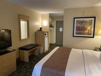 Standard Room, 1 King Bed with Sofa bed, Non Smoking