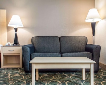 Standard Room, 1 King Bed with Sofa bed, Non Smoking