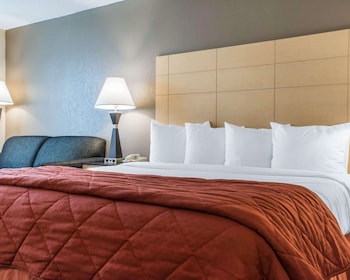 Standard Room, 1 King Bed with Sofa bed, Non Smoking