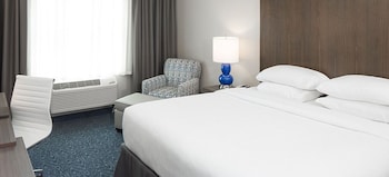 Room, 1 King Bed