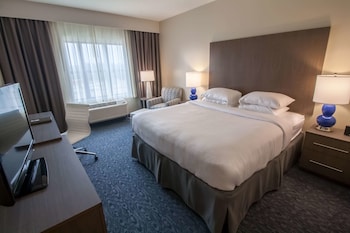 Room, 1 King Bed