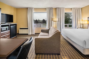 Suite, 1 King Bed with Sofa bed, Non Smoking (Efficiency, Upgrade)