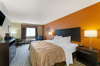 Standard Room, 1 King Bed, Non Smoking