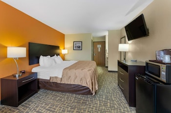 Standard Room, 1 King Bed, Non Smoking