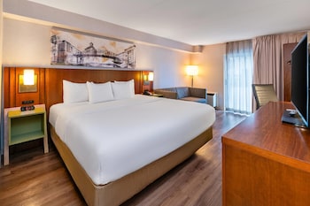 Room, 1 King Bed, Non Smoking, Ground Floor Pet-Friendly