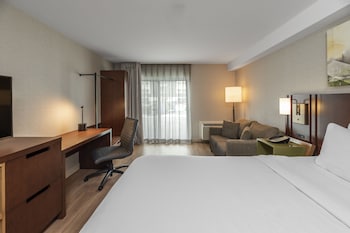 Room, 1 King Bed, Non Smoking, Ground Floor Pet-Friendly