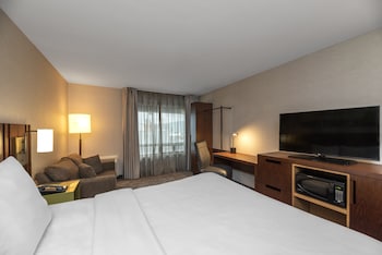 Room, 1 King Bed, Non Smoking, Top Floor No Pets