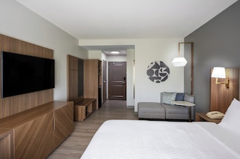 Standard Room, 1 King Bed (Pet Friendly)