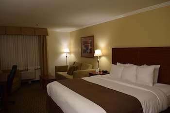 Standard Room, 1 King Bed, Non Smoking, Refrigerator & Microwave