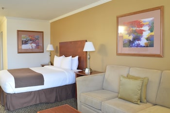 Standard Room, 1 Queen Bed, Accessible, Bathtub (Pet Friendly;with Sofabed)