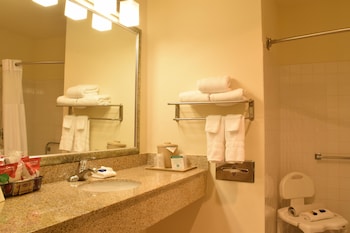 Standard Room, 1 Queen Bed, Accessible, Bathtub (Pet Friendly;with Sofabed)