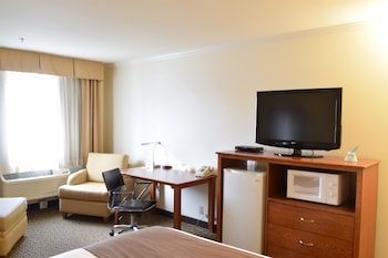 Standard Room, 1 Queen Bed, Non Smoking, Refrigerator & Microwave