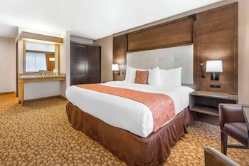Standard Room, 1 King Bed, Accessible, Non Smoking (Walk-in Shower)