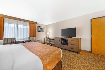 Standard Room, 1 King Bed, Accessible, Non Smoking (Walk-in Shower)