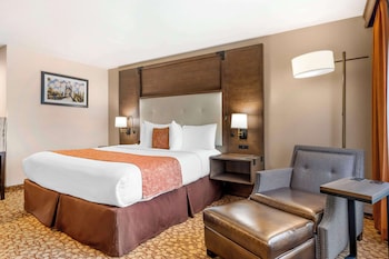 Standard Room, 1 King Bed, Non Smoking, Refrigerator & Microwave (Oversized Room)