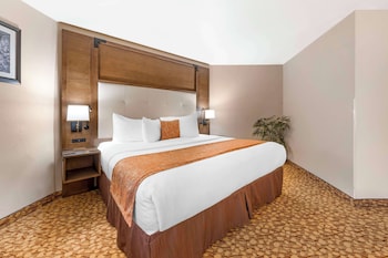Suite, 1 King Bed, Non Smoking, Refrigerator & Microwave