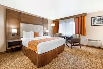 Standard Room, 1 King Bed, Accessible, Non Smoking (Walk-in Shower)