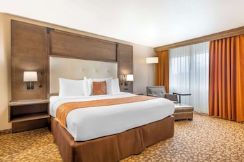 Standard Room, 1 King Bed, Non Smoking, Refrigerator & Microwave (Oversized Room)