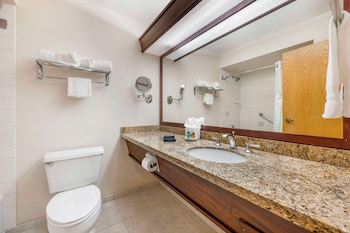 Standard Room, 1 King Bed, Non Smoking, Refrigerator & Microwave (Oversized Room)