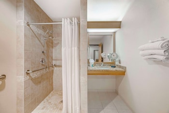 Standard Room, 1 King Bed, Accessible, Non Smoking (Walk-in Shower)